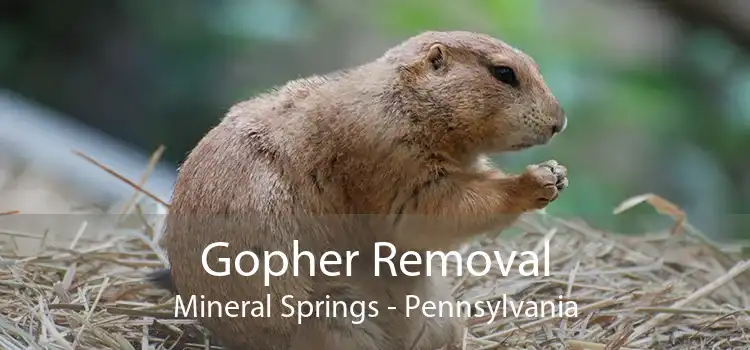 Gopher Removal Mineral Springs - Pennsylvania