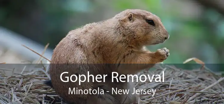 Gopher Removal Minotola - New Jersey