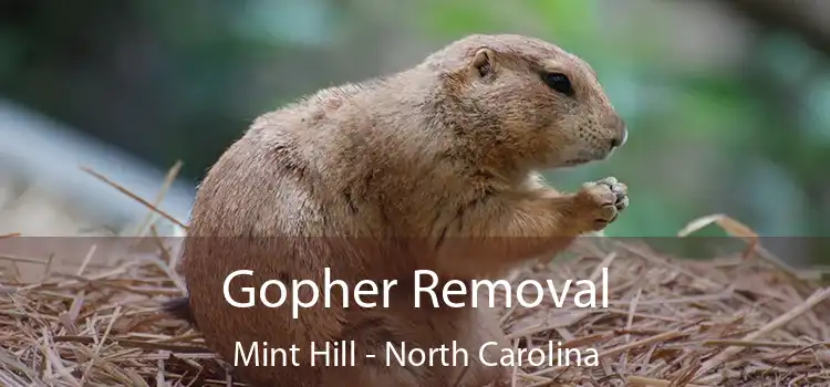 Gopher Removal Mint Hill - North Carolina