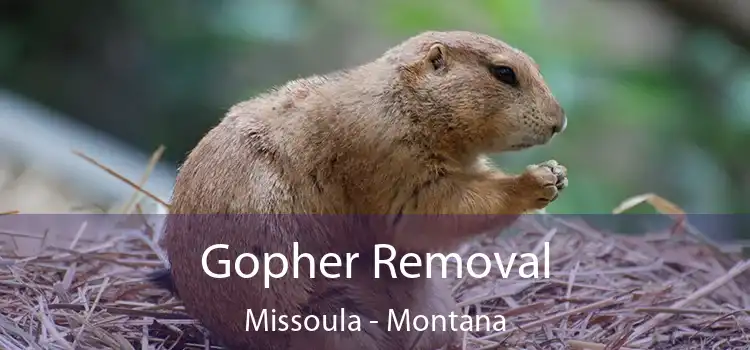 Gopher Removal Missoula - Montana