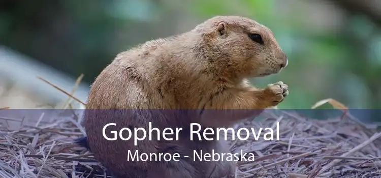 Gopher Removal Monroe - Nebraska