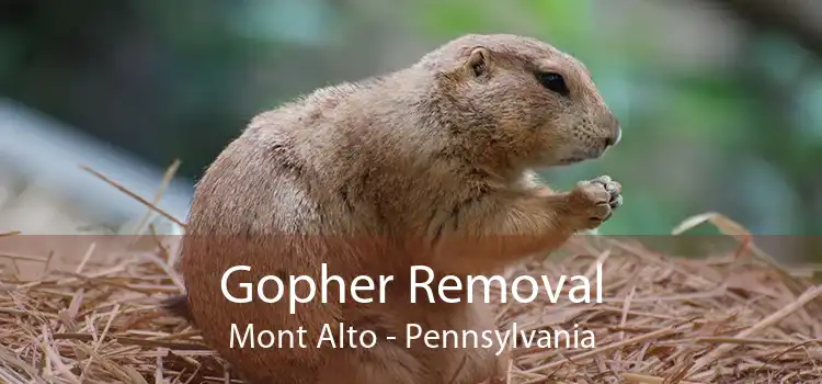 Gopher Removal Mont Alto - Pennsylvania