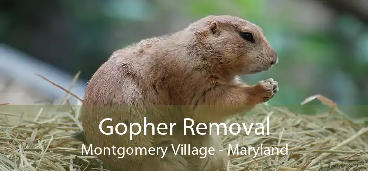 Gopher Removal Montgomery Village - Maryland