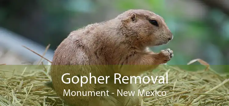 Gopher Removal Monument - New Mexico