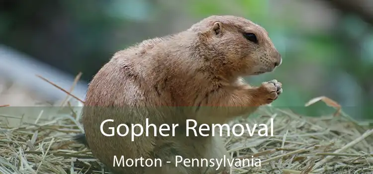 Gopher Removal Morton - Pennsylvania