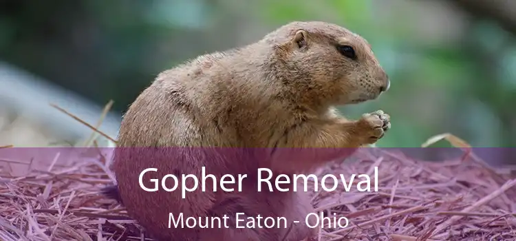 Gopher Removal Mount Eaton - Ohio