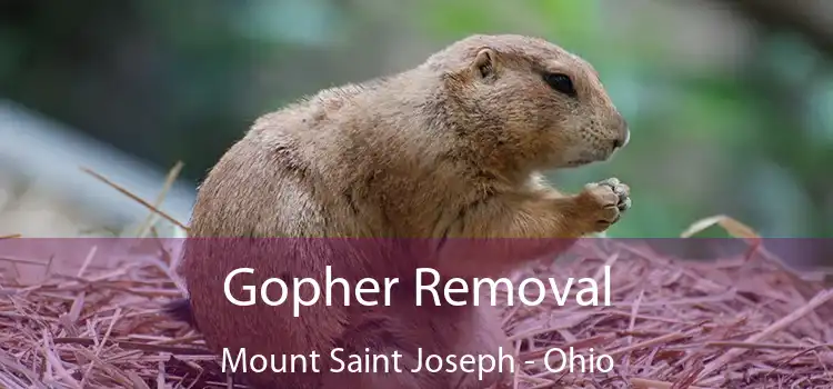 Gopher Removal Mount Saint Joseph - Ohio