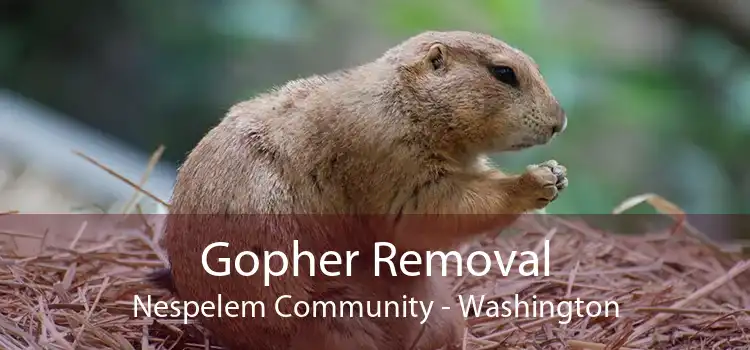 Gopher Removal Nespelem Community - Washington