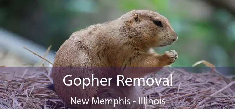 Gopher Removal New Memphis - Illinois