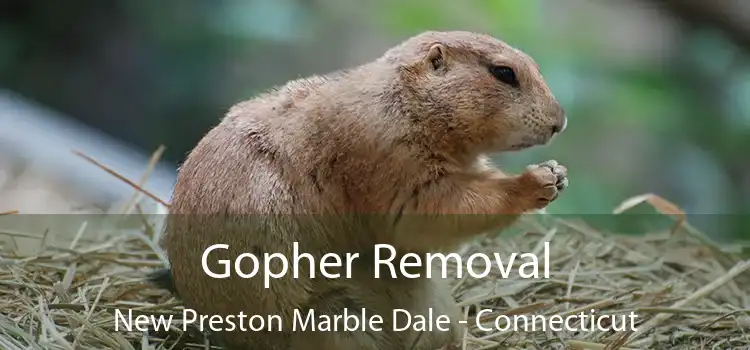 Gopher Removal New Preston Marble Dale - Connecticut