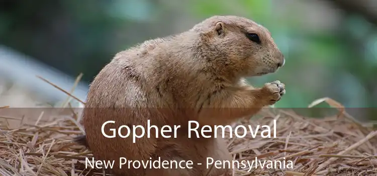 Gopher Removal New Providence - Pennsylvania