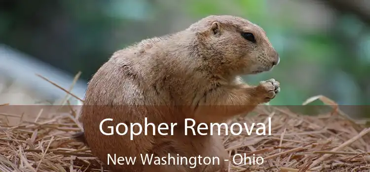 Gopher Removal New Washington - Ohio