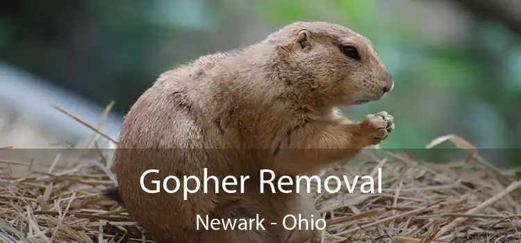 Gopher Removal Newark - Ohio