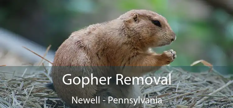 Gopher Removal Newell - Pennsylvania