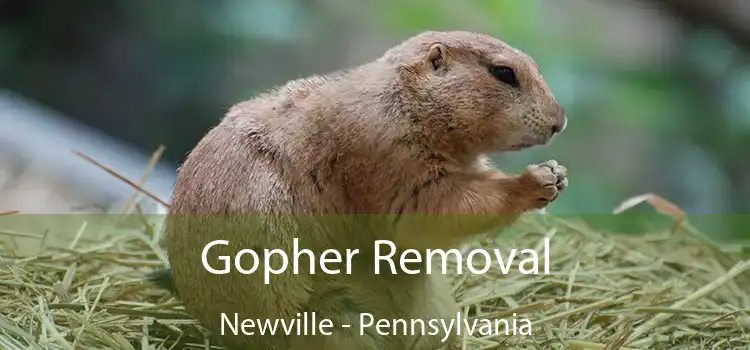 Gopher Removal Newville - Pennsylvania