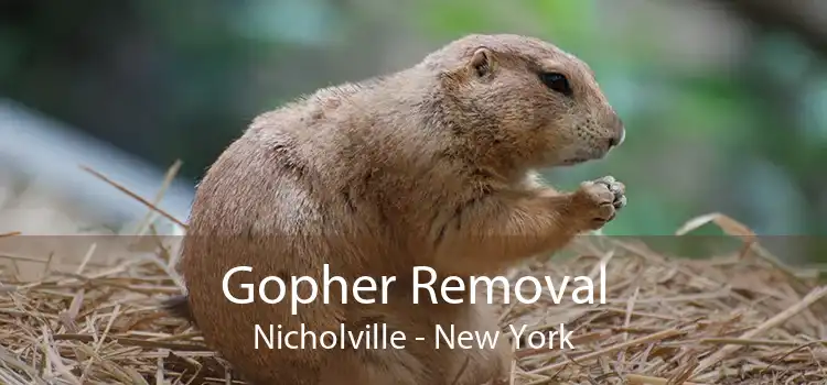 Gopher Removal Nicholville - New York