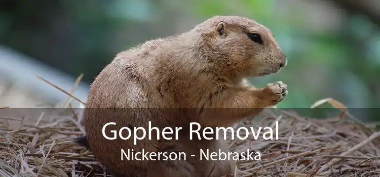 Gopher Removal Nickerson - Nebraska