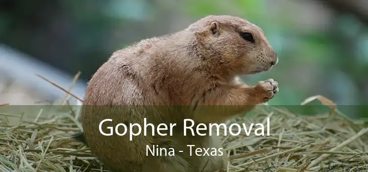 Gopher Removal Nina - Texas