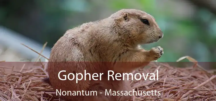 Gopher Removal Nonantum - Massachusetts