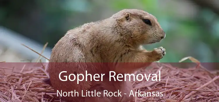 Gopher Removal North Little Rock - Arkansas