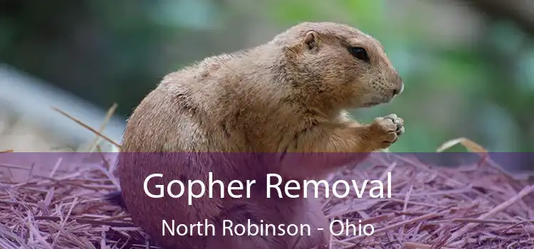 Gopher Removal North Robinson - Ohio