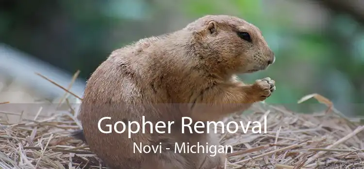 Gopher Removal Novi - Michigan