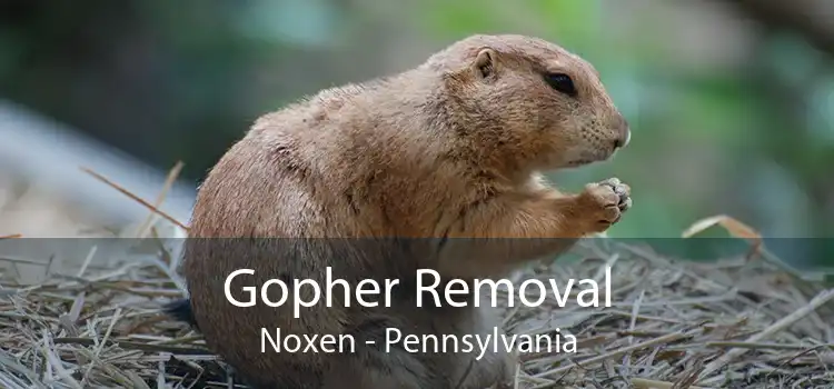 Gopher Removal Noxen - Pennsylvania