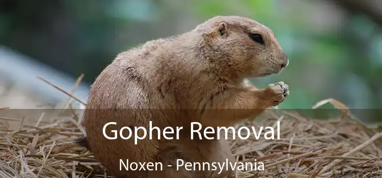 Gopher Removal Noxen - Pennsylvania