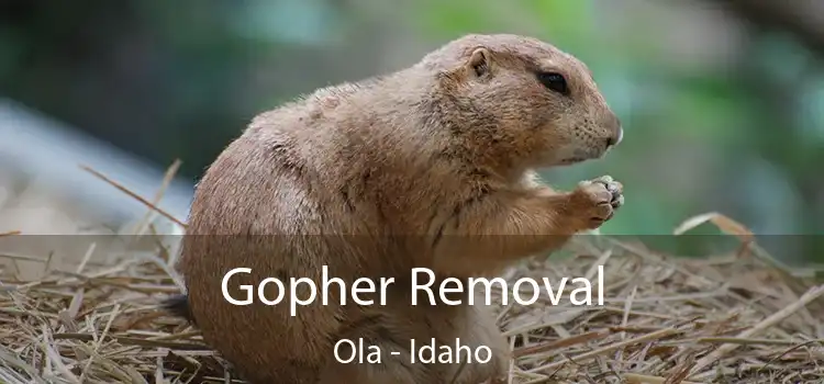 Gopher Removal Ola - Idaho