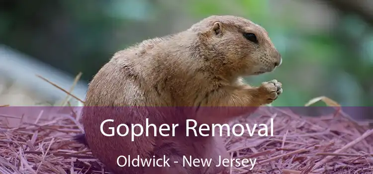 Gopher Removal Oldwick - New Jersey