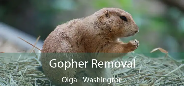 Gopher Removal Olga - Washington