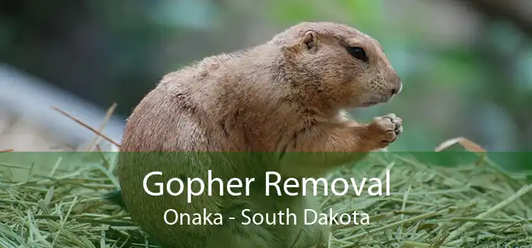 Gopher Removal Onaka - South Dakota