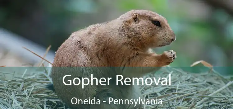 Gopher Removal Oneida - Pennsylvania