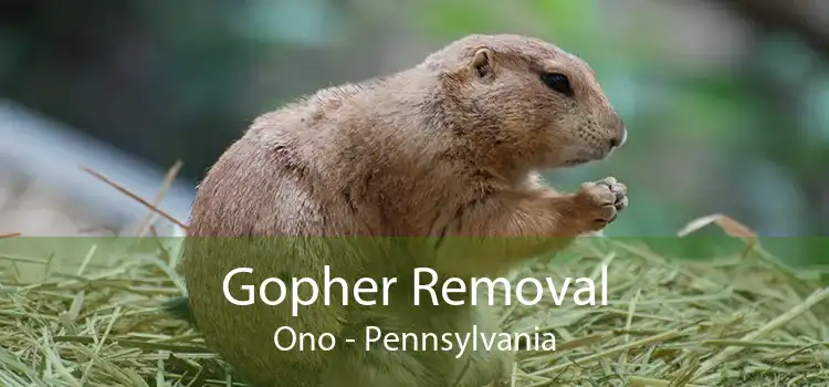 Gopher Removal Ono - Pennsylvania