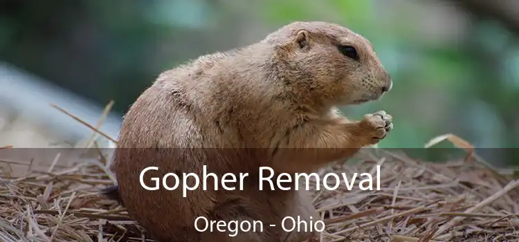 Gopher Removal Oregon - Ohio