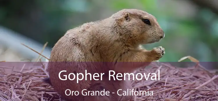 Gopher Removal Oro Grande - California