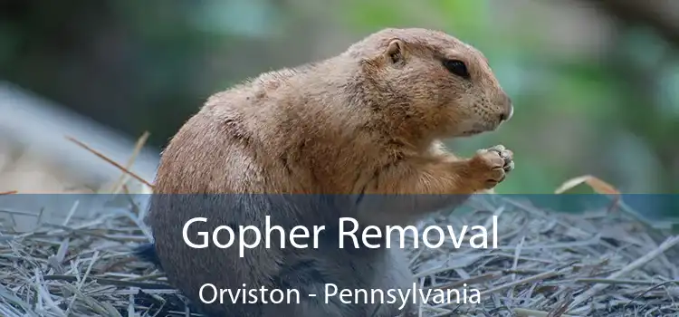 Gopher Removal Orviston - Pennsylvania