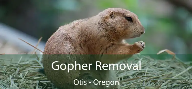 Gopher Removal Otis - Oregon
