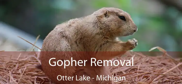 Gopher Removal Otter Lake - Michigan