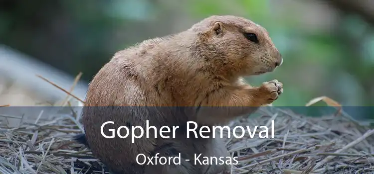 Gopher Removal Oxford - Kansas