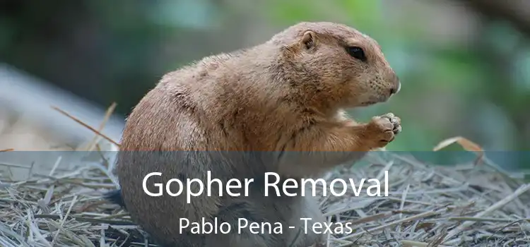 Gopher Removal Pablo Pena - Texas