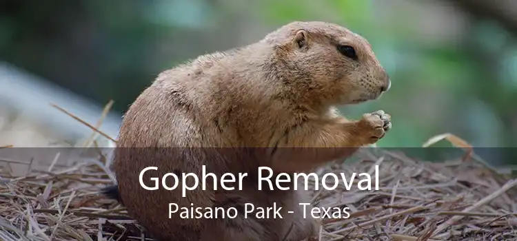 Gopher Removal Paisano Park - Texas