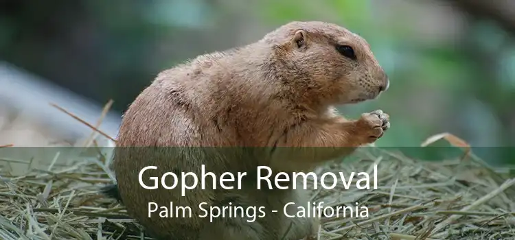 Gopher Removal Palm Springs - California