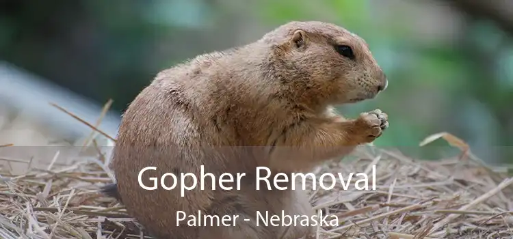 Gopher Removal Palmer - Nebraska