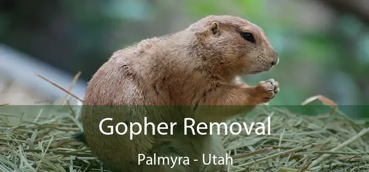 Gopher Removal Palmyra - Utah