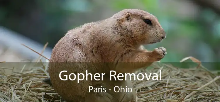 Gopher Removal Paris - Ohio