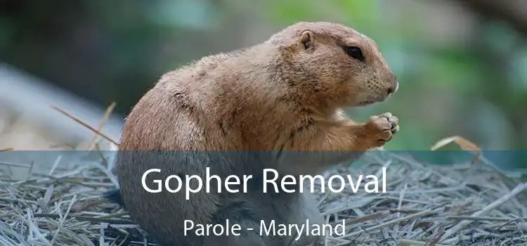 Gopher Removal Parole - Maryland