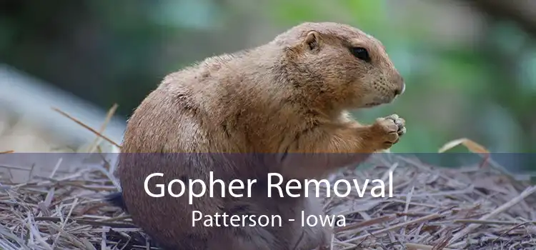 Gopher Removal Patterson - Iowa