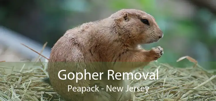 Gopher Removal Peapack - New Jersey