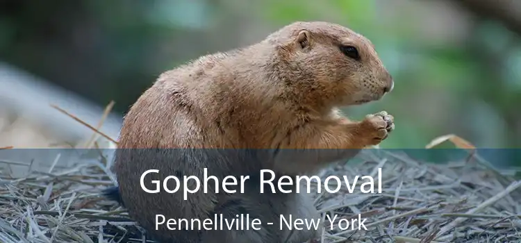 Gopher Removal Pennellville - New York